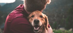 حیوانات خانگی، سلامت روان شما را تامین می‌کنند